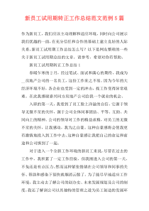 新员工试用期转正工作总结范文范例5篇