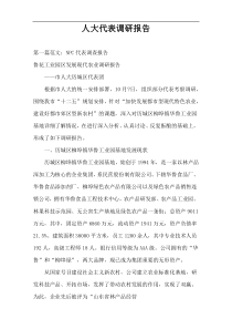 人大代表调研报告