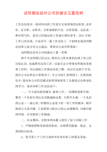 试用期总结对公司的建议五篇范例