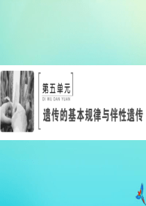 2020版高考生物一轮复习 第15讲 基因在染色体上与伴性遗传及人类遗传病课件 新人教版