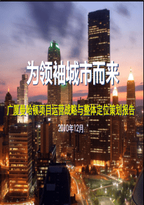 广厦曼哈顿项目运营战略与整体定位策划报告