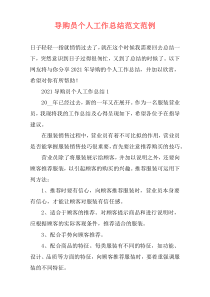 导购员个人工作总结范文范例