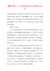 警察干事个人工作总结范文怎么写范例500字