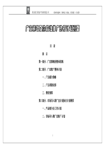 广宣策略及阶段性推广执行计划纲要