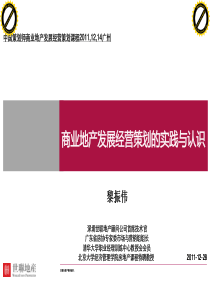 中国策划师商业地产培训课程(黎振伟)