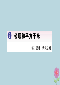 2019秋四年级数学上册 第2单元 公顷和平方千米 2.1 认识公顷作业课件 新人教版