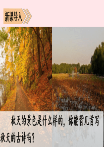 2019秋三年级语文上册 第二单元 4《古诗三首》课堂教学课件 新人教版
