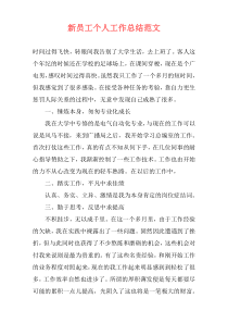 新员工个人工作总结范文