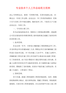 专业技术个人工作总结范文范例