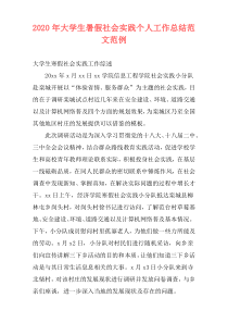 2020年大学生暑假社会实践个人工作总结范文范例