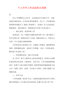 个人半年工作总结范文范例