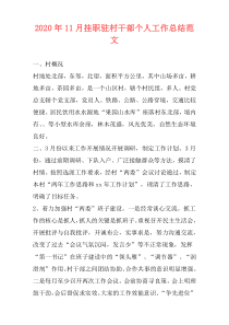 2020年11月挂职驻村干部个人工作总结范文