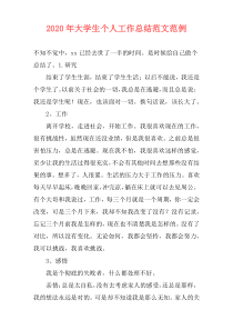 2020年大学生个人工作总结范文范例