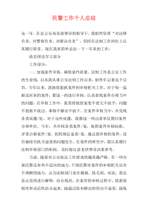 民警工作个人总结