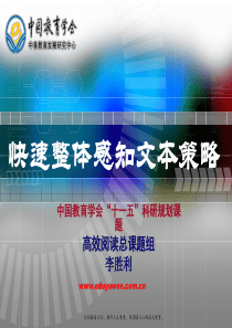 快速整体感知文本策略