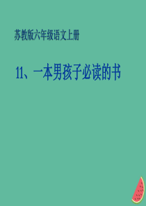 2019秋六年级语文上册 第三单元 11 一本男孩子必读的书教学课件2 苏教版