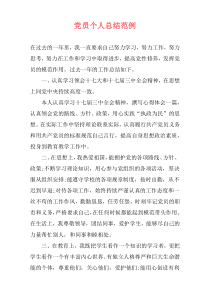 党员个人总结范例