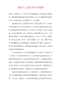 团员个人总结2500字范例