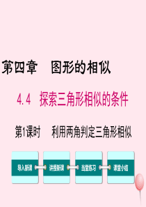 2019秋九年级数学上册 第四章 图形的相似 4 探索三角形相似的条件 第1课时 利用两角判定三角形