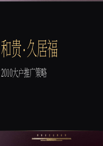 成都和贵久居福项目大户推广策略_41PPT_XXXX年