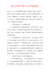 2020年驻村干部个人工作总结范文