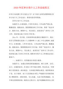 2020年区审计局个人工作总结范文