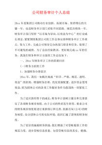 公司财务审计个人总结