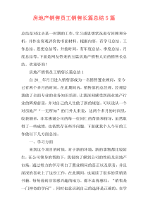 房地产销售员工销售长篇总结5篇