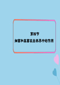 2019秋八年级生物上册 第五单元 生物圈中的其他生物 第四章 细菌和真菌 第四节 细菌和真菌在自然