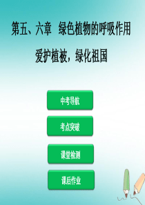 2019年中考生物 第三单元 第五、六章 绿色植物的呼吸作用 爱护植被，绿化祖国复习课件