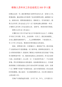 销售人员年末工作总结范文800字5篇