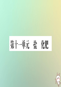 2019年中考化学准点备考复习 第一部分 教材系统复习 第11讲 盐 化肥复习作业课件 新人教版