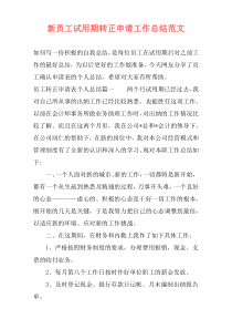 新员工试用期转正申请工作总结范文