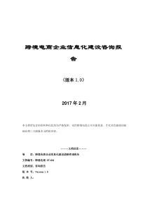 战略咨询报告