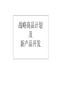 战略商品计划