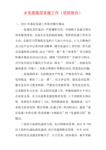乡党委基层党建工作（述职报告）