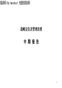 战略定位及管理改善中期报告