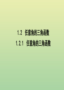 2019年高中数学 第一章 三角函数 1.2.1 任意角的三角函数课件 新人教A版必修4