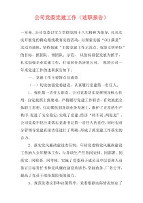 公司党委党建工作（述职报告）