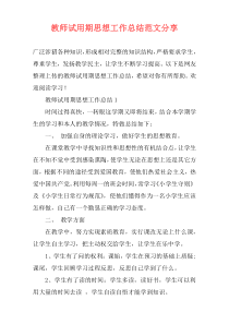 教师试用期思想工作总结范文分享