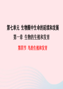2019年春八年级生物下册 第七单元 第一章 第四节 鸟的生殖和发育课件 （新版）新人教版