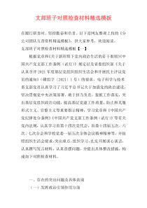 支部班子对照检查材料精选模板