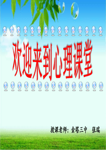 初中心理健康教育---注意力