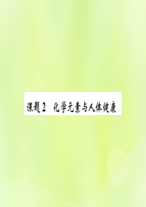 2019届九年级化学下册 第十二单元 化学与生活 课题2 化学元素与人体健康复习课件 （新版）新人教
