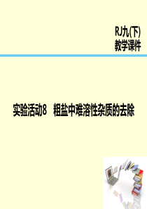 2019届九年级化学下册 第11单元 盐 化肥 实验活动8 粗盐中难溶性杂质的去除课件 （新版）新人