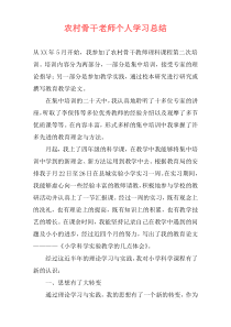 农村骨干老师个人学习总结