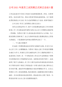 公司2021年度员工试用期正式转正总结5篇