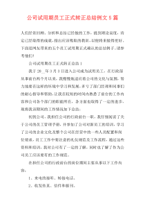 公司试用期员工正式转正总结例文5篇
