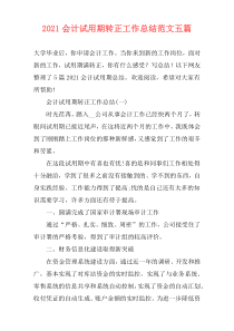 2021会计试用期转正工作总结范文五篇