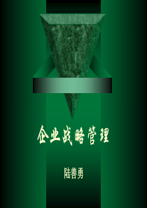 战略管理(广西大学陆善勇博士)